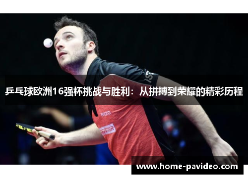 乒乓球欧洲16强杯挑战与胜利:从拼搏到荣耀的精彩历程 乒乓球欧洲16强杯挑战与胜利:从拼搏到荣耀的精彩历程
