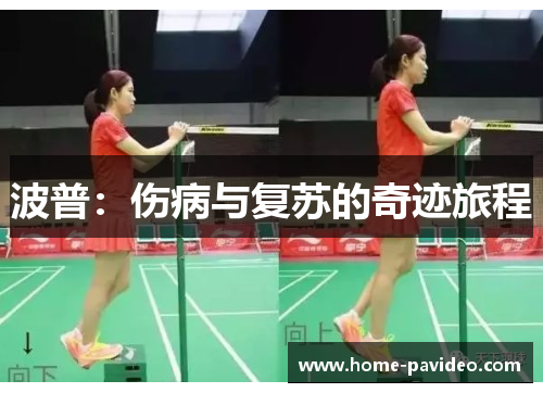 波普：伤病与复苏的奇迹旅程