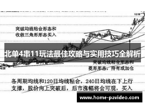 北单4串11玩法最佳攻略与实用技巧全解析