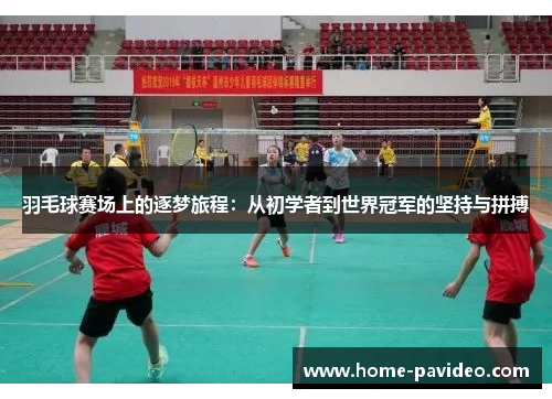 羽毛球赛场上的逐梦旅程：从初学者到世界冠军的坚持与拼搏