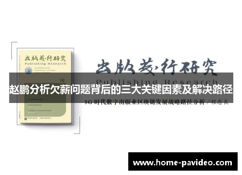 赵鹏分析欠薪问题背后的三大关键因素及解决路径