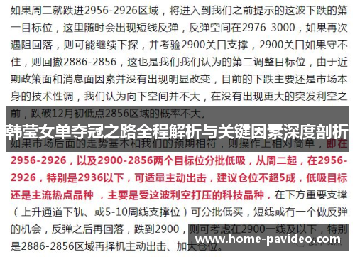 韩莹女单夺冠之路全程解析与关键因素深度剖析