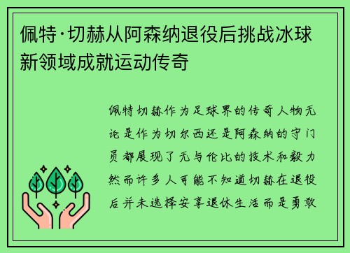 佩特·切赫从阿森纳退役后挑战冰球新领域成就运动传奇